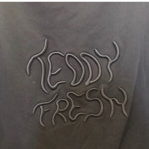 Teddy Fresh Embroidered Hoodie